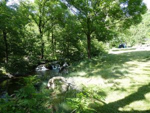 Emplacement naturel de camping