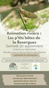Animation rivière : Les p'tits bêtes de la Besorgues