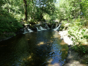Rivière